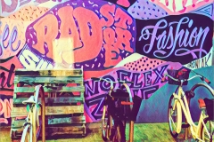 Pushbikes in Newcastle