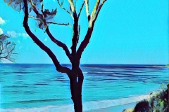 Tree overlooking beach